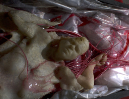 Detail of DEATH (2012), installation by Andris Marackovskis